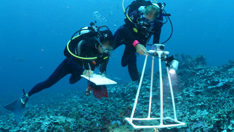 Certificate Marine Science