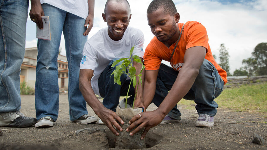 Certificate Social Entrepreneurship And Nonprofits