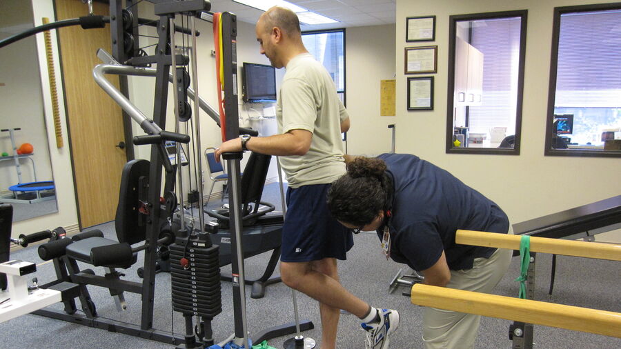 What are Exercise Science and Kinesiology?