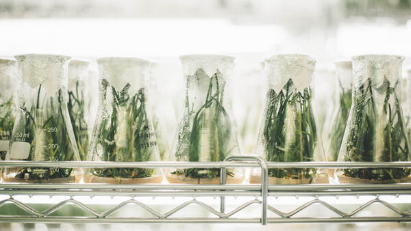 Major Environmental Engr