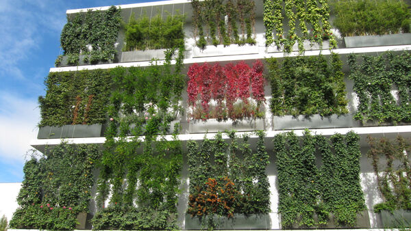 Major Sustainability Studies